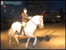EXHIBICION DE CABALLOS. Espect�culo ecuestre, ARTE Y FANTASIA DEL CABALLO ESPA�O' 2004L