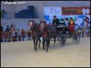 EXHIBICION DE CABALLOS. Espect�culo ecuestre, ARTE Y FANTASIA DEL CABALLO ESPA�OL' 2005