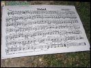 Clausura del curso de la Escuela de M�sica de la Agrupaci�n Musical de Totana 2004/2005