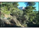 Sierra Espu�a fotos nevada