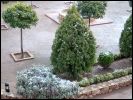 Nevada en Sierra Espu�a. Enero 2006. Fotos enviadas por usuarios