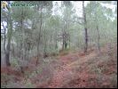 Sierra de Pe�arubia y Cerro de los Enamorados