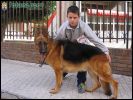 X Concurso Nacional Canino Ciudad de Totana