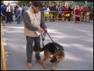 X Concurso Nacional Canino Ciudad de Totana