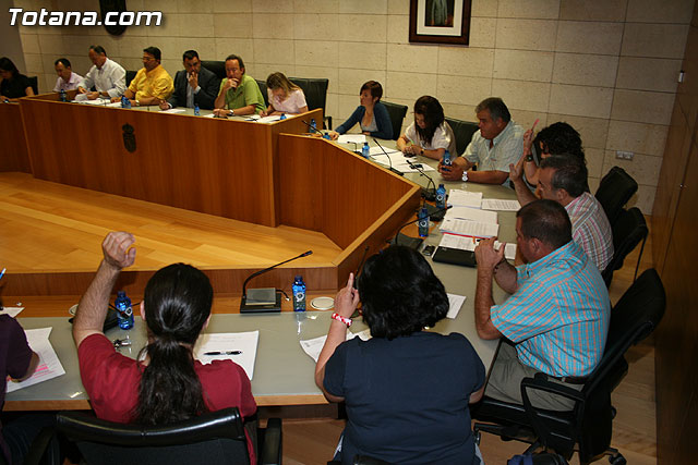 Pleno ordinario. Junio 2010 - 7