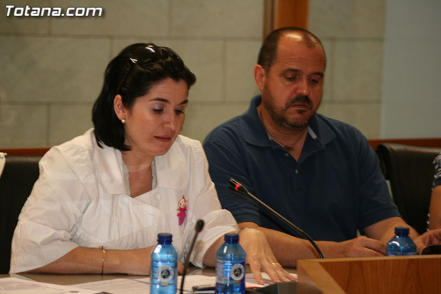 Pleno ordinario. Junio 2010 - 10