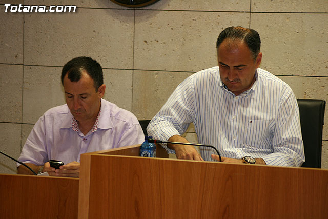 Pleno ordinario. Junio 2010 - 13