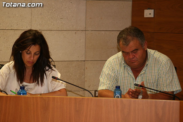 Pleno ordinario. Junio 2010 - 17