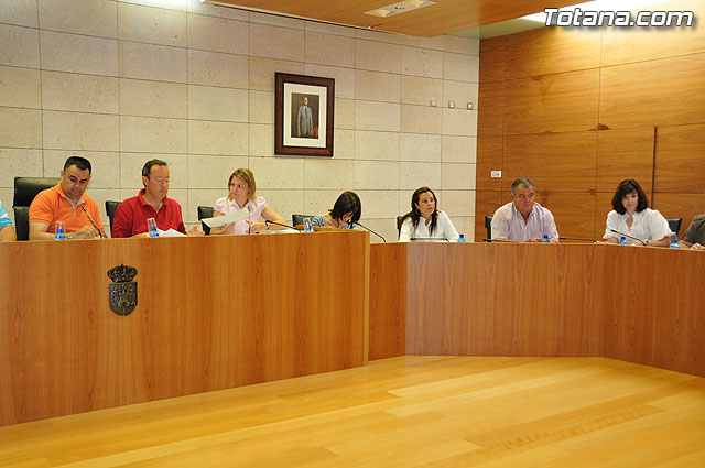 Pleno ordinario mayo 2009  - 31