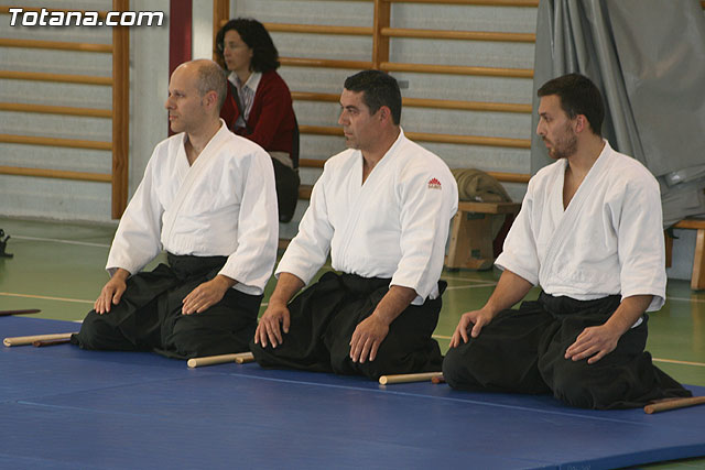 Exhibicin de Aikido - Colegio Reina Sofa - 36