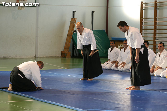 Exhibicin de Aikido - Colegio Reina Sofa - 44