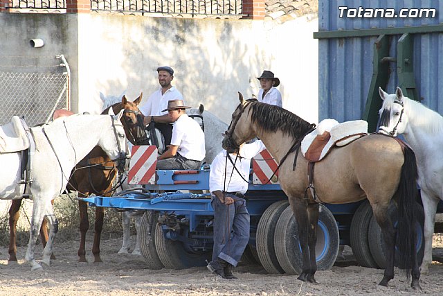 Exhibicin de caballos. Fiestas Raiguero Bajo 2011 - 55
