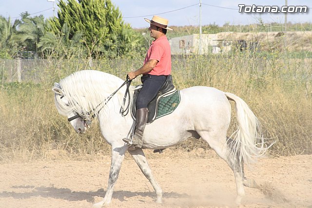 Exhibicin de caballos. Fiestas Raiguero Bajo 2011 - 61