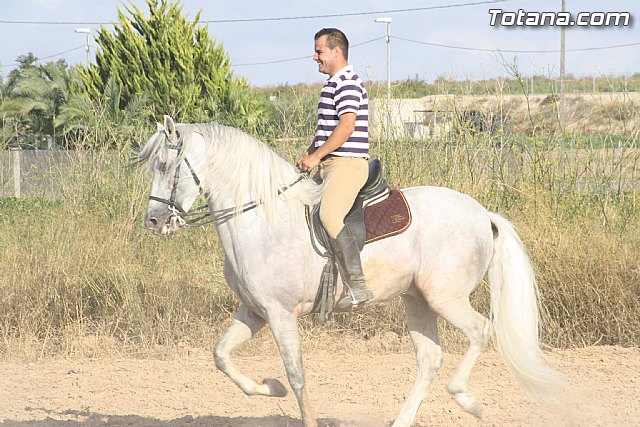 Exhibicin de caballos. Fiestas Raiguero Bajo 2011 - 62