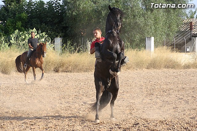 Exhibicin de caballos. Fiestas Raiguero Bajo 2011 - 71