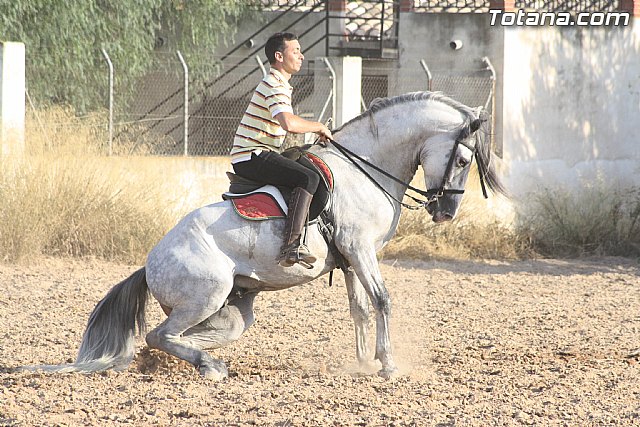 Exhibicin de caballos. Fiestas Raiguero Bajo 2011 - 85