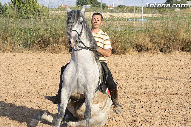 Exhibicin de caballos. Fiestas Raiguero Bajo 2011 - 91