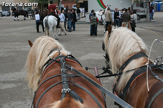 Paseo en caballos. Fiestas rocieras. Totana 2010 - 44