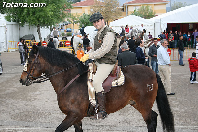 Paseo en caballos. Fiestas rocieras. Totana 2010 - 54