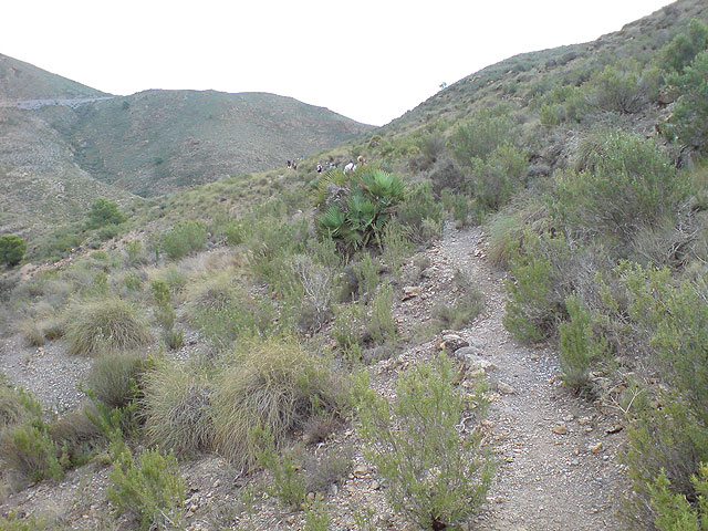El club senderista de Totana realiza una ruta por el Espacio Natural de la Muela-Cabo Tioso - 44
