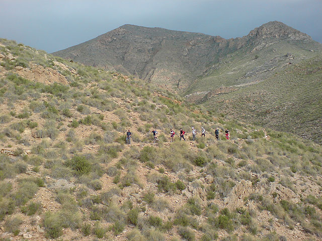 El club senderista de Totana realiza una ruta por el Espacio Natural de la Muela-Cabo Tioso - 53