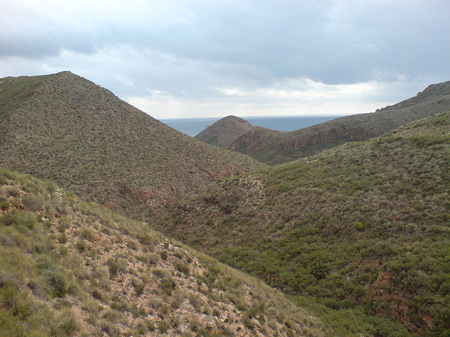 El club senderista de Totana realiza una ruta por el Espacio Natural de la Muela-Cabo Tioso - 54