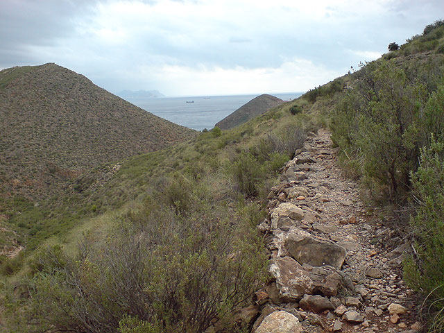 El club senderista de Totana realiza una ruta por el Espacio Natural de la Muela-Cabo Tioso - 57