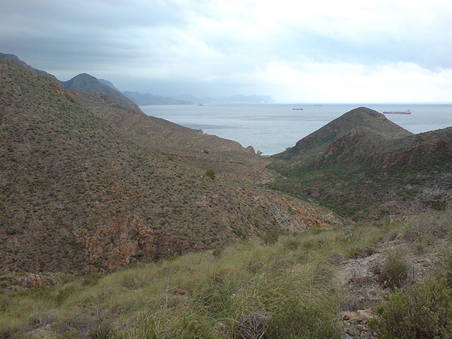 El club senderista de Totana realiza una ruta por el Espacio Natural de la Muela-Cabo Tioso - 58
