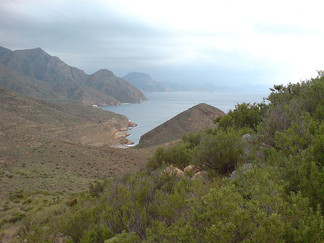 El club senderista de Totana realiza una ruta por el Espacio Natural de la Muela-Cabo Tioso - 59