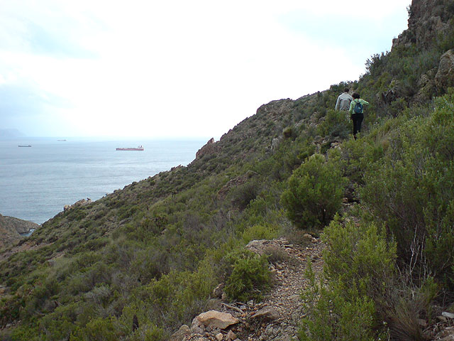 El club senderista de Totana realiza una ruta por el Espacio Natural de la Muela-Cabo Tioso - 60