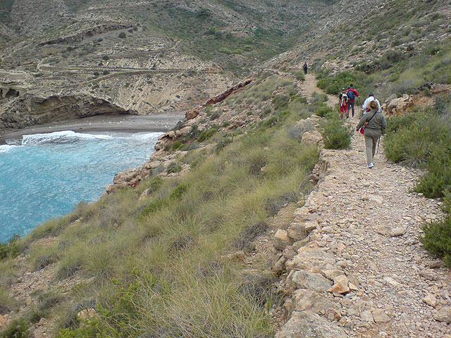 El club senderista de Totana realiza una ruta por el Espacio Natural de la Muela-Cabo Tioso - 70