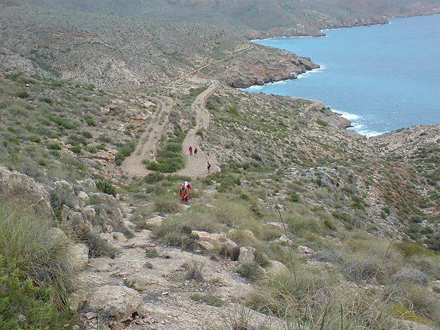 El club senderista de Totana realiza una ruta por el Espacio Natural de la Muela-Cabo Tioso - 72