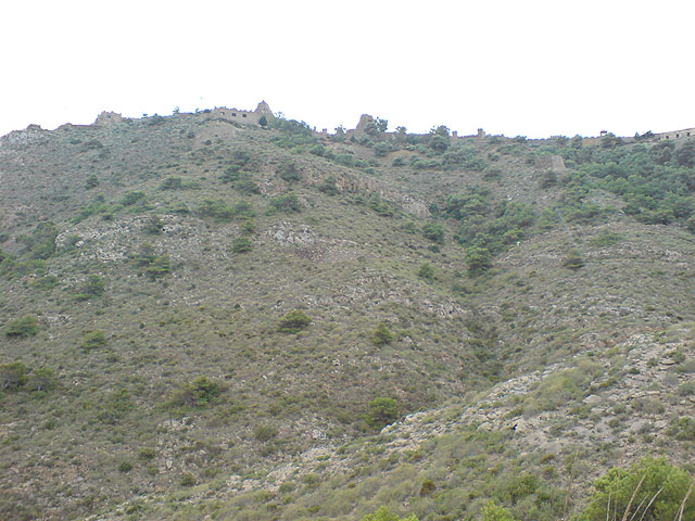 El club senderista de Totana realiza una ruta por el Espacio Natural de la Muela-Cabo Tioso - 73