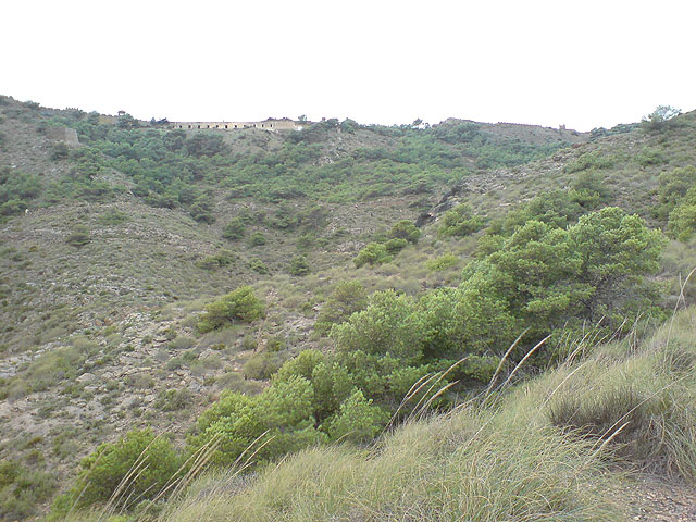 El club senderista de Totana realiza una ruta por el Espacio Natural de la Muela-Cabo Tioso - 74