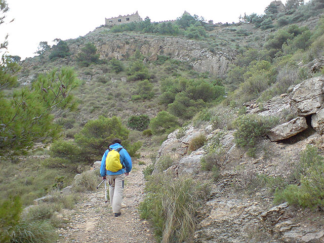 El club senderista de Totana realiza una ruta por el Espacio Natural de la Muela-Cabo Tioso - 75