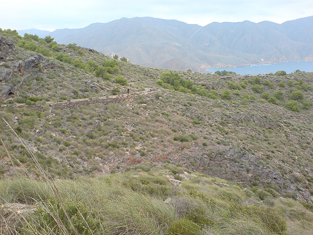 El club senderista de Totana realiza una ruta por el Espacio Natural de la Muela-Cabo Tioso - 76