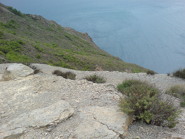 El club senderista de Totana realiza una ruta por el Espacio Natural de la Muela-Cabo Tioso - 98