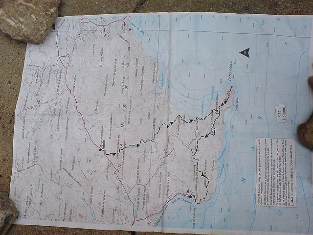 El club senderista de Totana realiza una ruta por el Espacio Natural de la Muela-Cabo Tioso - 108