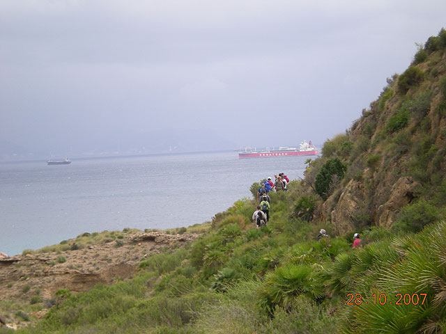El club senderista de Totana realiza una ruta por el Espacio Natural de la Muela-Cabo Tiñoso - 144