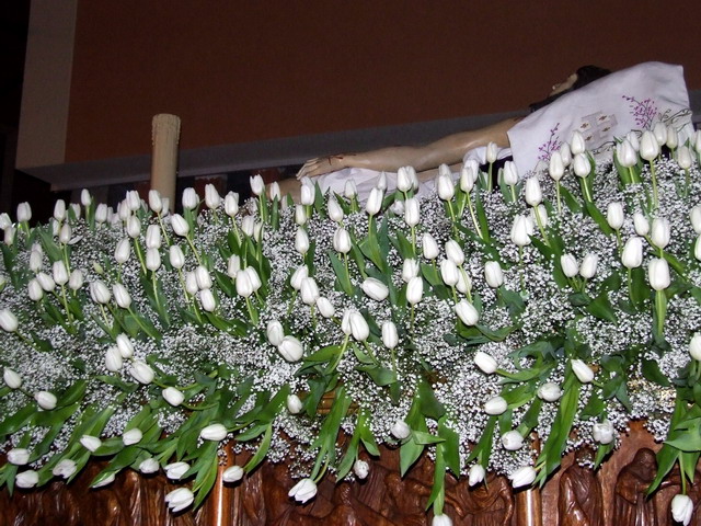 V CONCURSO DE FOTOGRAFA DIGITAL TOTANA.COM - 130