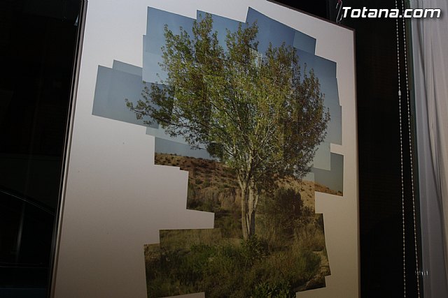 Gran NeoVERBENA multicultural. La Jukebox + Inkeys - 31