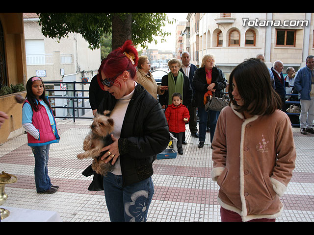Los animales recibieron la bendicin en el da de su patrn, San Antn, a las puertas del Convento  - 225