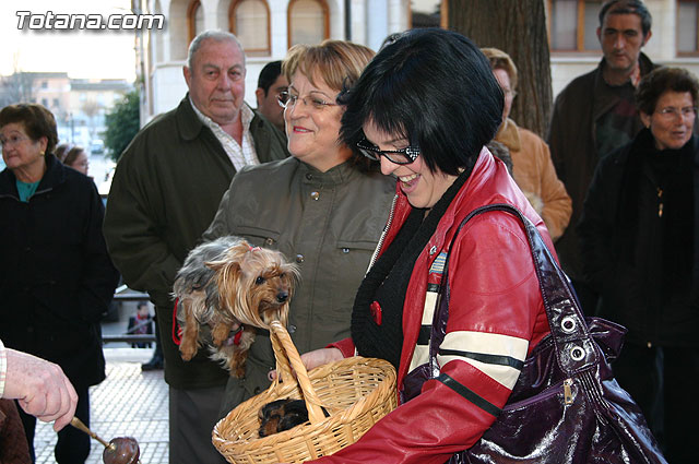 Bendicin animales San Antn - 73