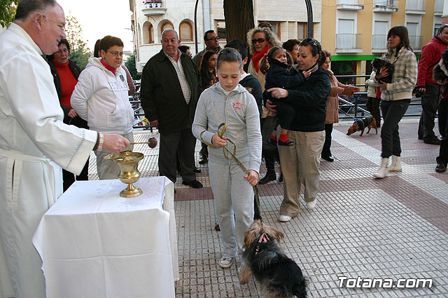 Bendicin animales San Antn - 134