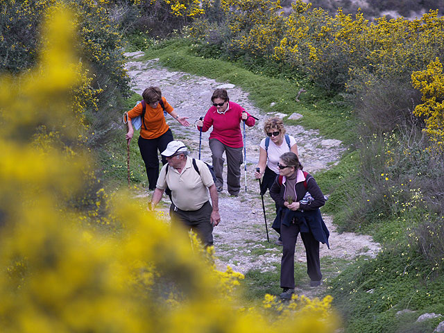 Ruta senderista por las inmediaciones de Cartagena, organizada por la concejala de deportes - 57