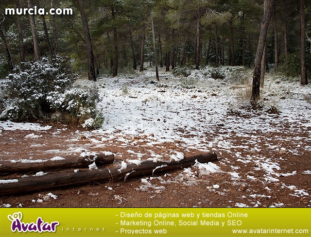 Nieve Sierra Espuña 2009 - 20