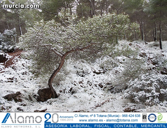 Nieve Sierra Espuña 2009 - 22