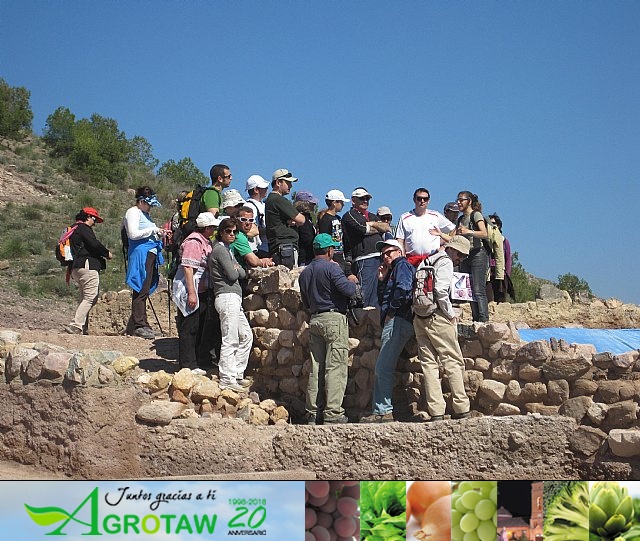 Ruta de senderismo y visita guiada por los arqueólogos al Yacimiento Argárico de la Bastida - 182