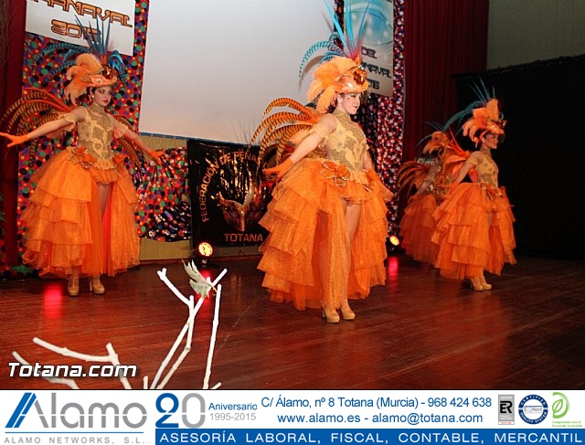 Gala - Pregón Carnaval Totana 2015 - 33
