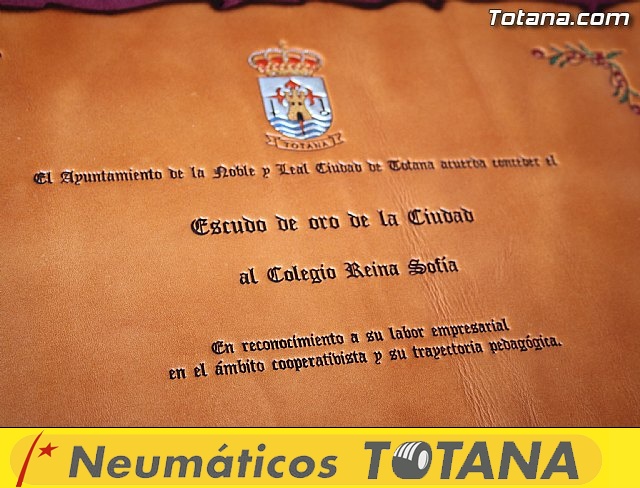 Escudo de Oro de la ciudad de Totana. Colegio Reina Sofía - 3